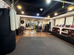 -温鉴良实用咏春拳