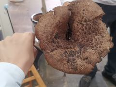 -蘑统田下·野生菌火锅