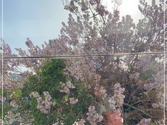 -知春路(地铁站)