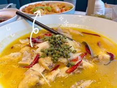 仙人椒麻鸡-径山十八道·风味民间菜(杭州总店)