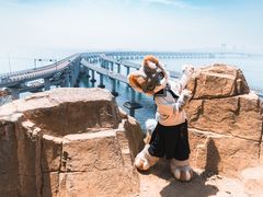 -星海湾跨海大桥