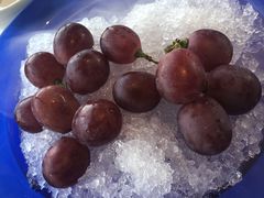 -四季民福烤鸭店(前门店)