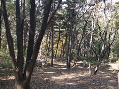 -棋盘山风景区