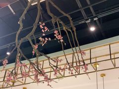 -老板恋上鱼(振华商厦店)
