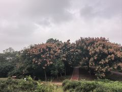 -南京市江宁方山