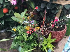-润泽园海南椰子鸡·糟粕醋火锅(拱北店)