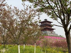 -古柏渡飞黄旅游区