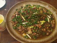 -铁山坪森林公园