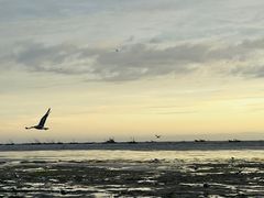 -小长山岛景区
