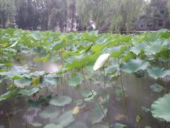 -四川大学(望江校区)