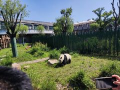 -沈阳森林动物园