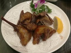 鸿运乳鸽-新海利(北岭店)