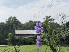 -凤来栖·净庭院·火锅(欧尚店)