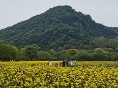 -八卦田遗址公园