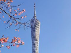 -海心沙亚运公园