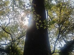 -韶关经律论国际酒店温泉