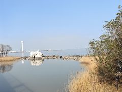 -上海吴淞炮台湾国家湿地公园