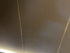 -华夏良子·足道SPA艾灸(王府井店)