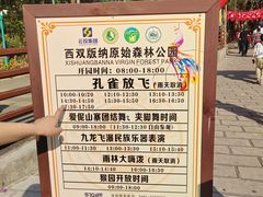 -西双版纳原始森林公园