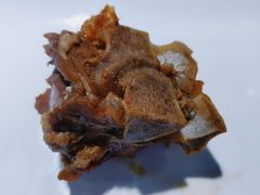 -望蝎门羊蝎子火锅(祭城店)