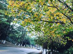 -北京师范大学(珠海校区)