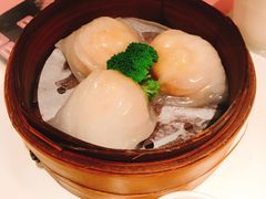 虾饺皇-新大咀港式茶餐厅(宝山万达店)