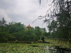 -四川大学(望江校区)