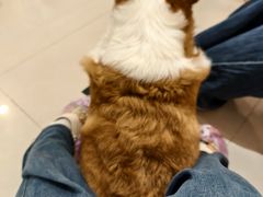-平行世界·猫咖(首经贸店)