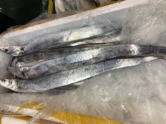 -海峡水产品交易中心(海鲜交易区)