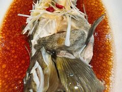 -韩记海鲜饺子旗舰店(红海新区店)