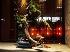 -南堂館川菜文化餐厅(天府店)