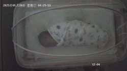 -梓爱月子中心(花都店)