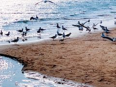 -金梦海湾浴场