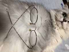 -罗创丹阳眼镜(童卫路店)