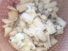 -江门古兜温泉小镇
