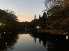 -井之头恩赐公园