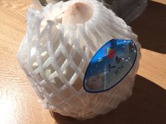 -超级物种(省府店)