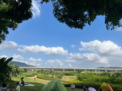 -光明小镇欢乐田园