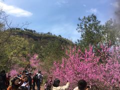 -天台山赤城山景区