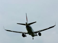 -空港花田景区