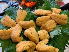 野生活海胆-松子料理(白家庄店)