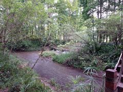 -桤木河湿地公园