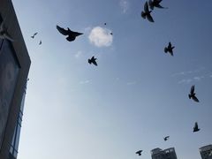 -CGV影城(壹方城IMAX店)