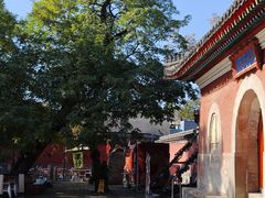 -承恩寺