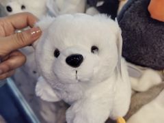 -上海海洋水族馆