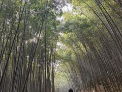-穹窿山景区