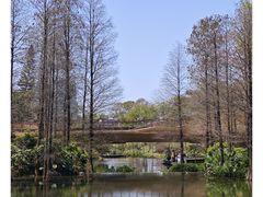 -云溪植物园