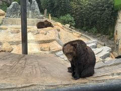 -云南野生动物园