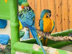 -北京野生动物园