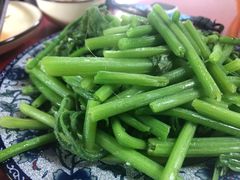 -生态苑农庄(十里画廊遇龙河店)